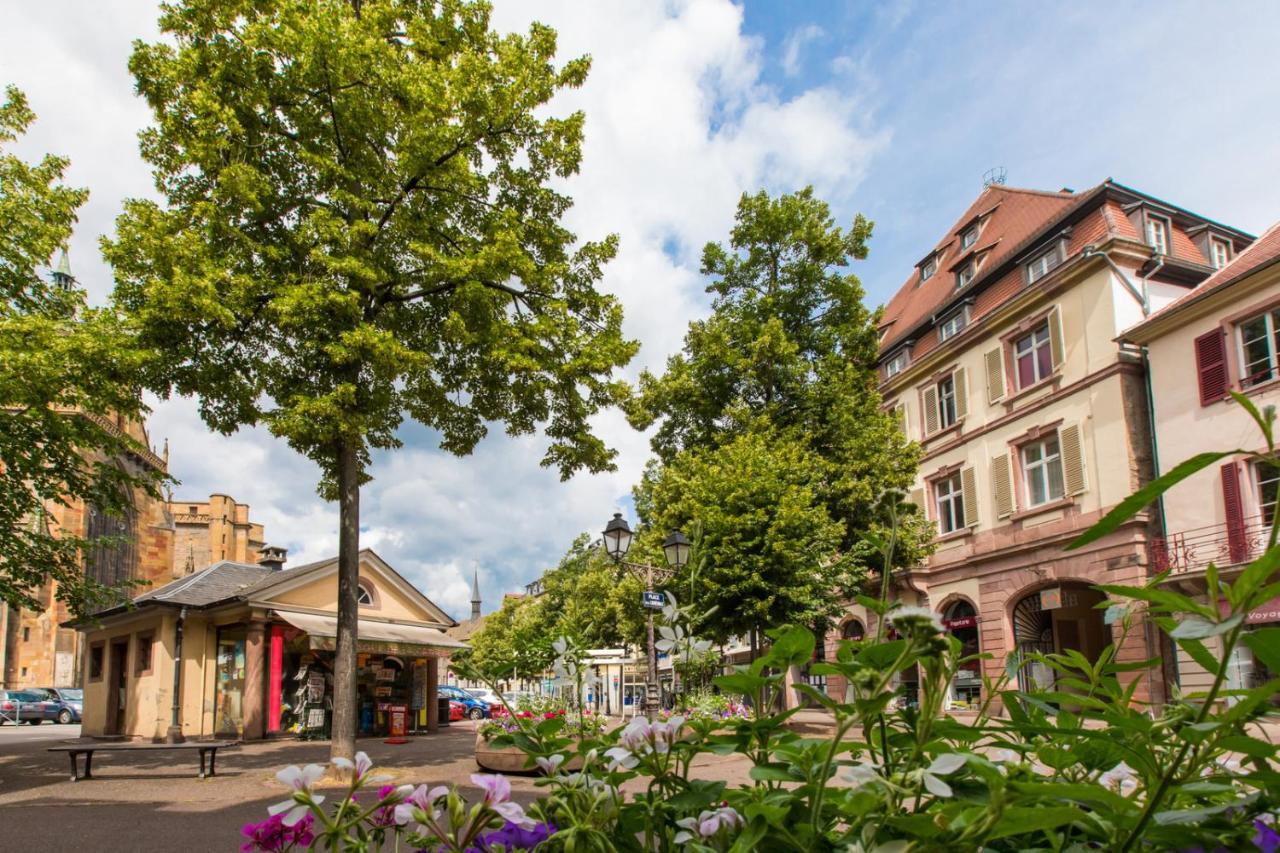 Le Griffon Apartment Colmar Exterior photo